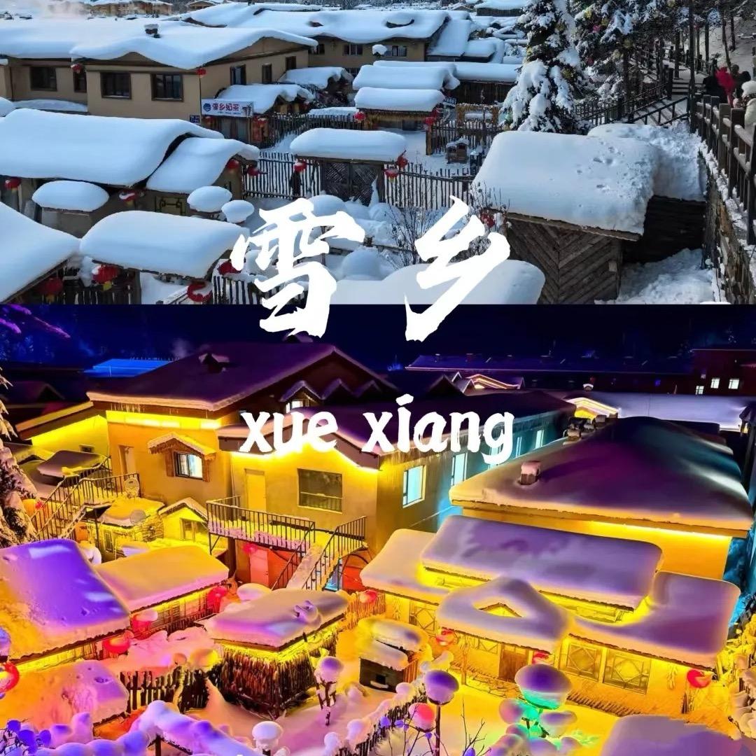 哈尔滨雪乡·纯玩游
