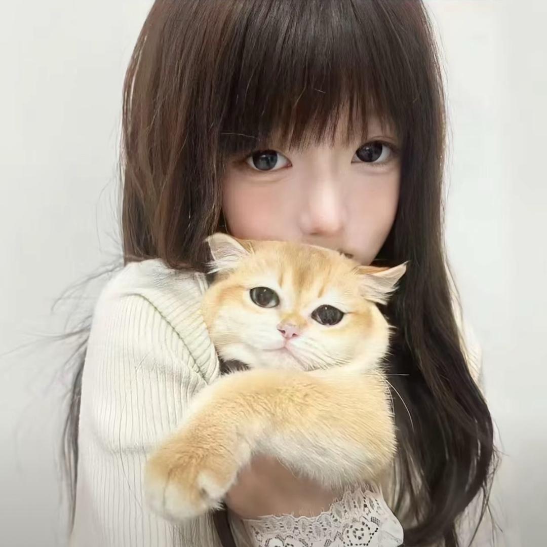 小鸟