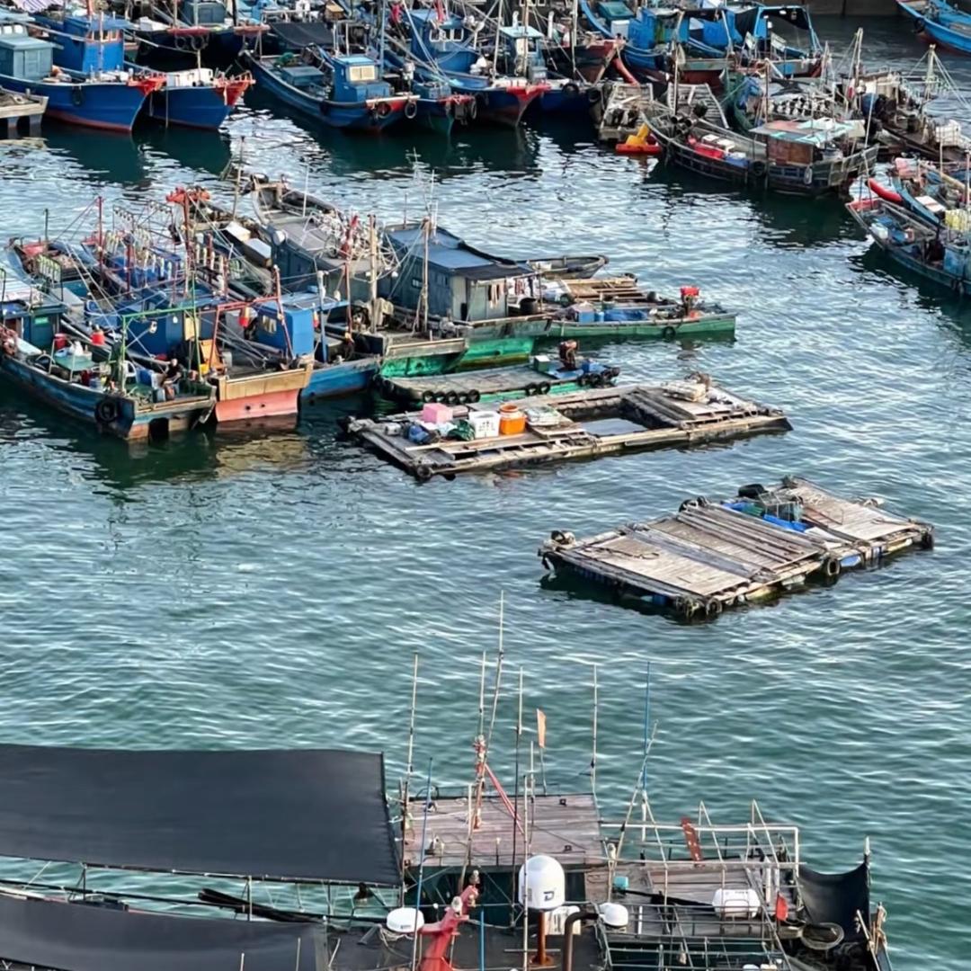 海港鲜货直发