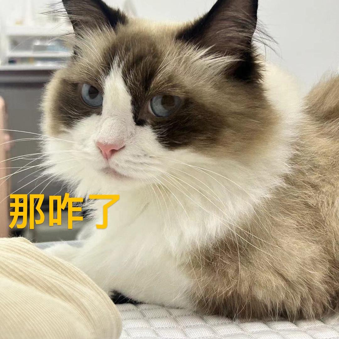 🎃喜多多
