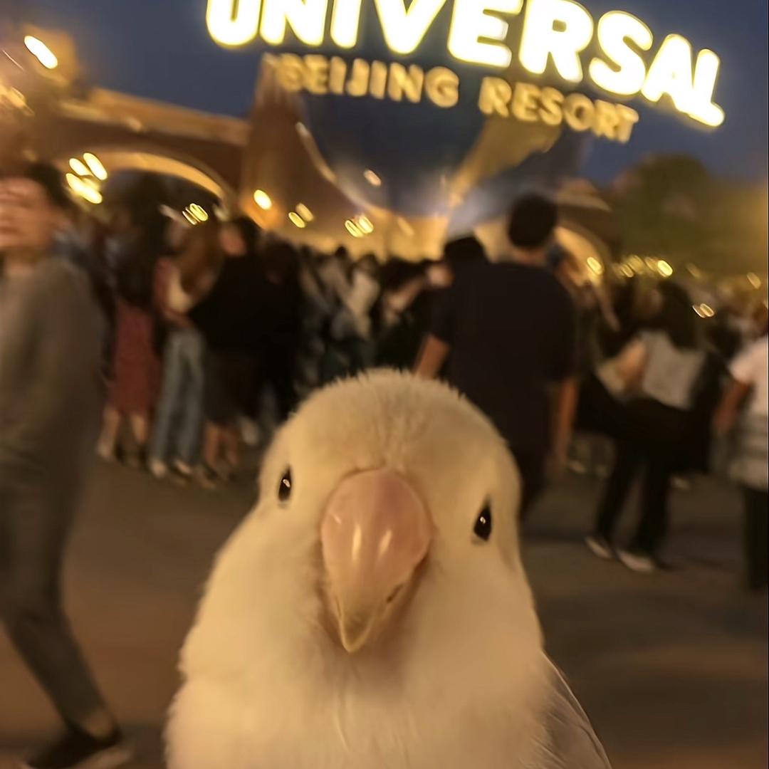 酱