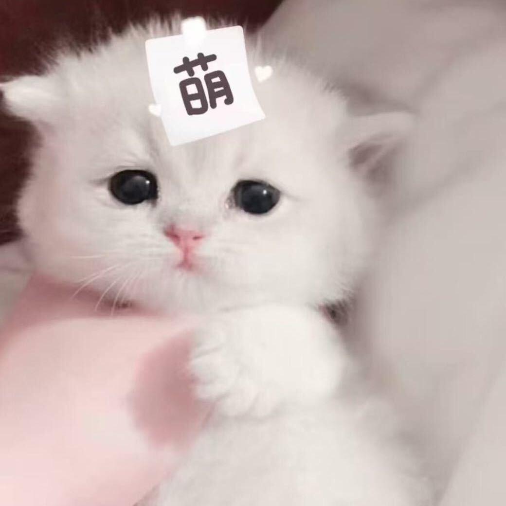 怪我太天真