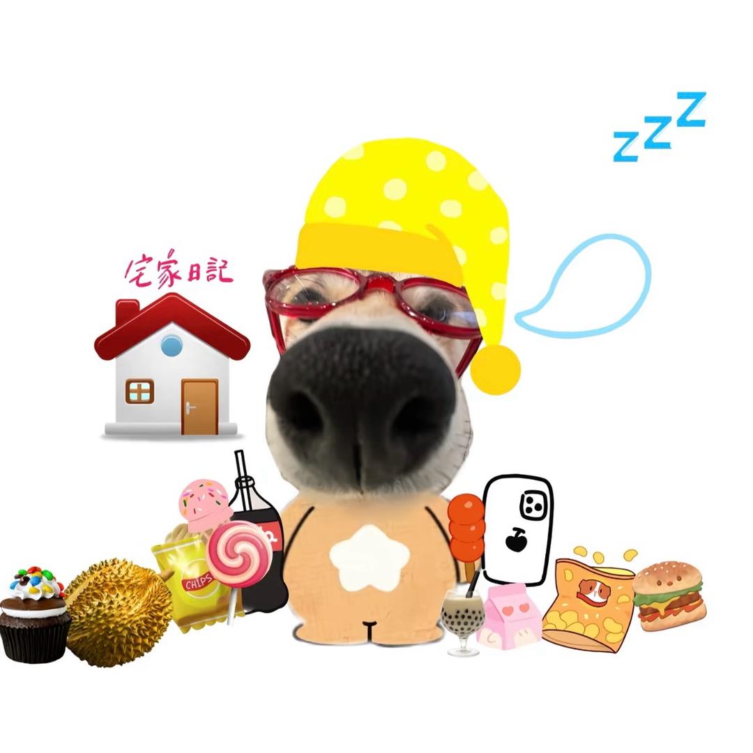 泡泡🐕