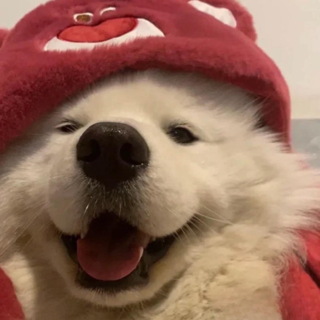 蜜桃儿