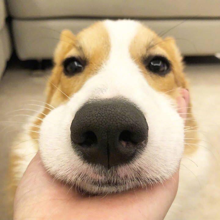 神秘男技师