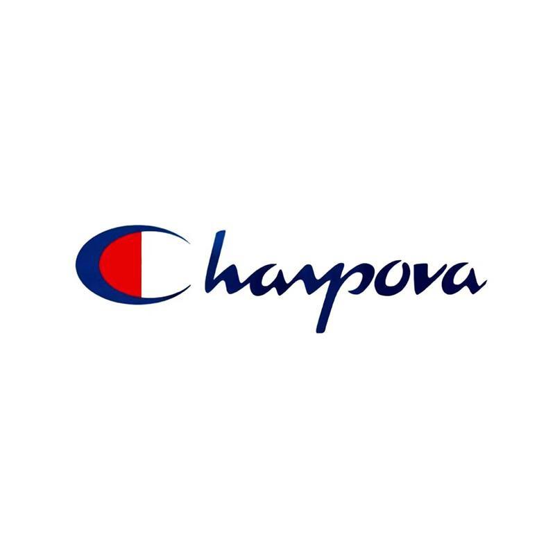 Chavpova企业店