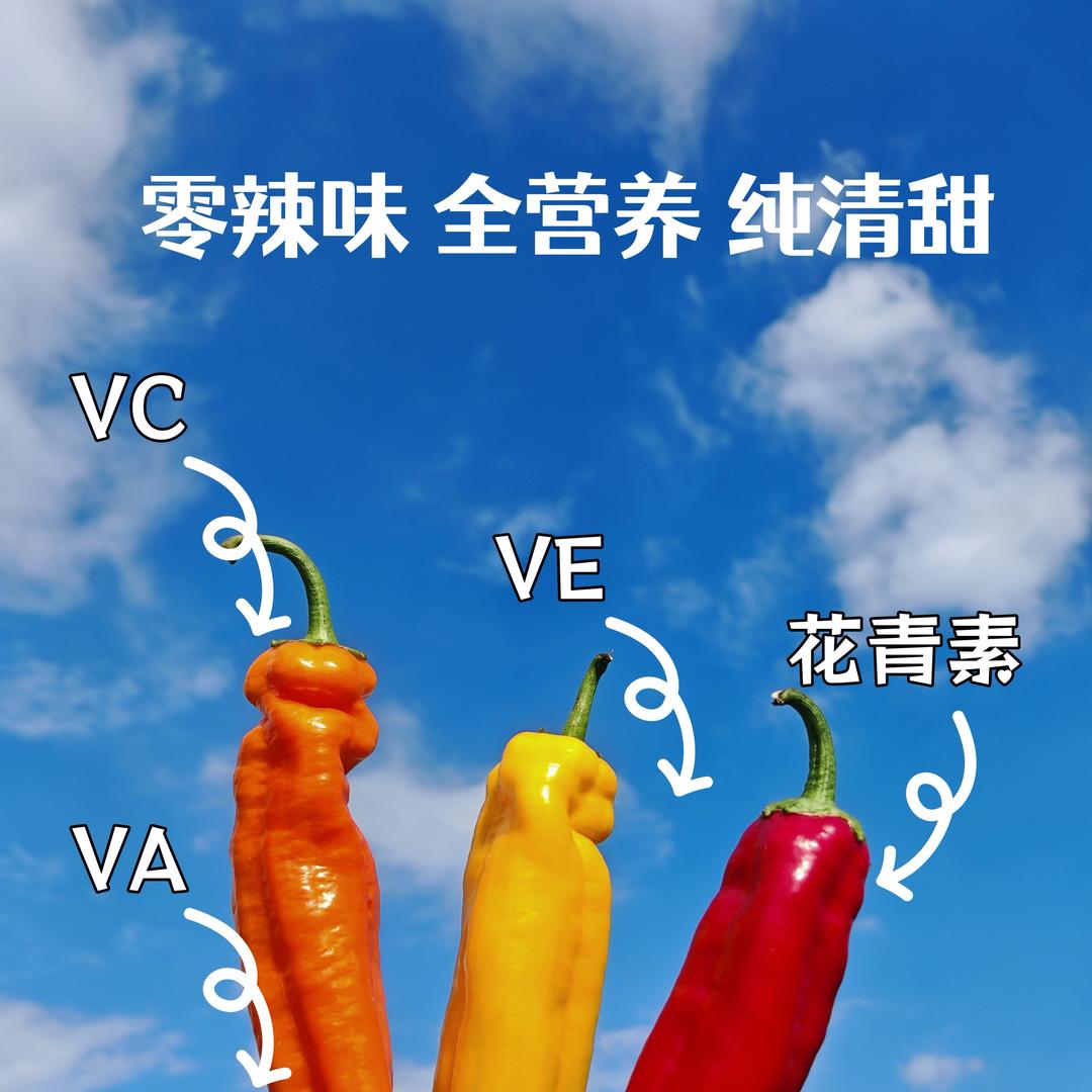 VitaGlow甜椒悦色
