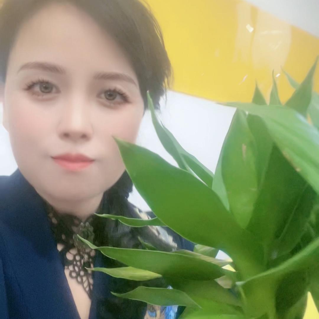 兴化爱森房产中介服务部