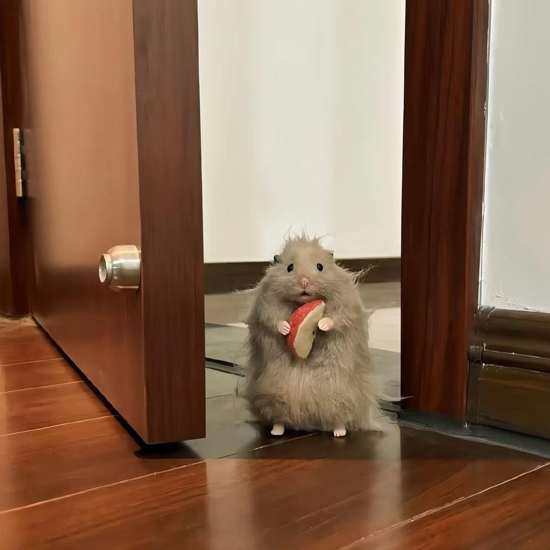 呼呼_