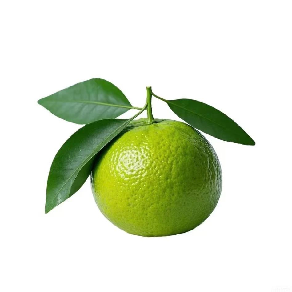 小毅的女同学🚒