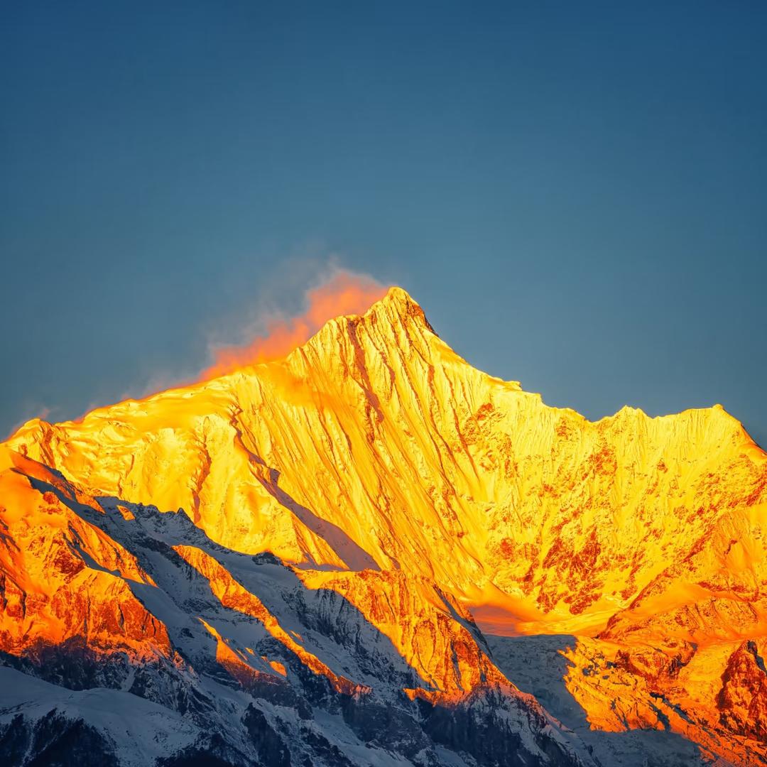 阅山  内容生长
