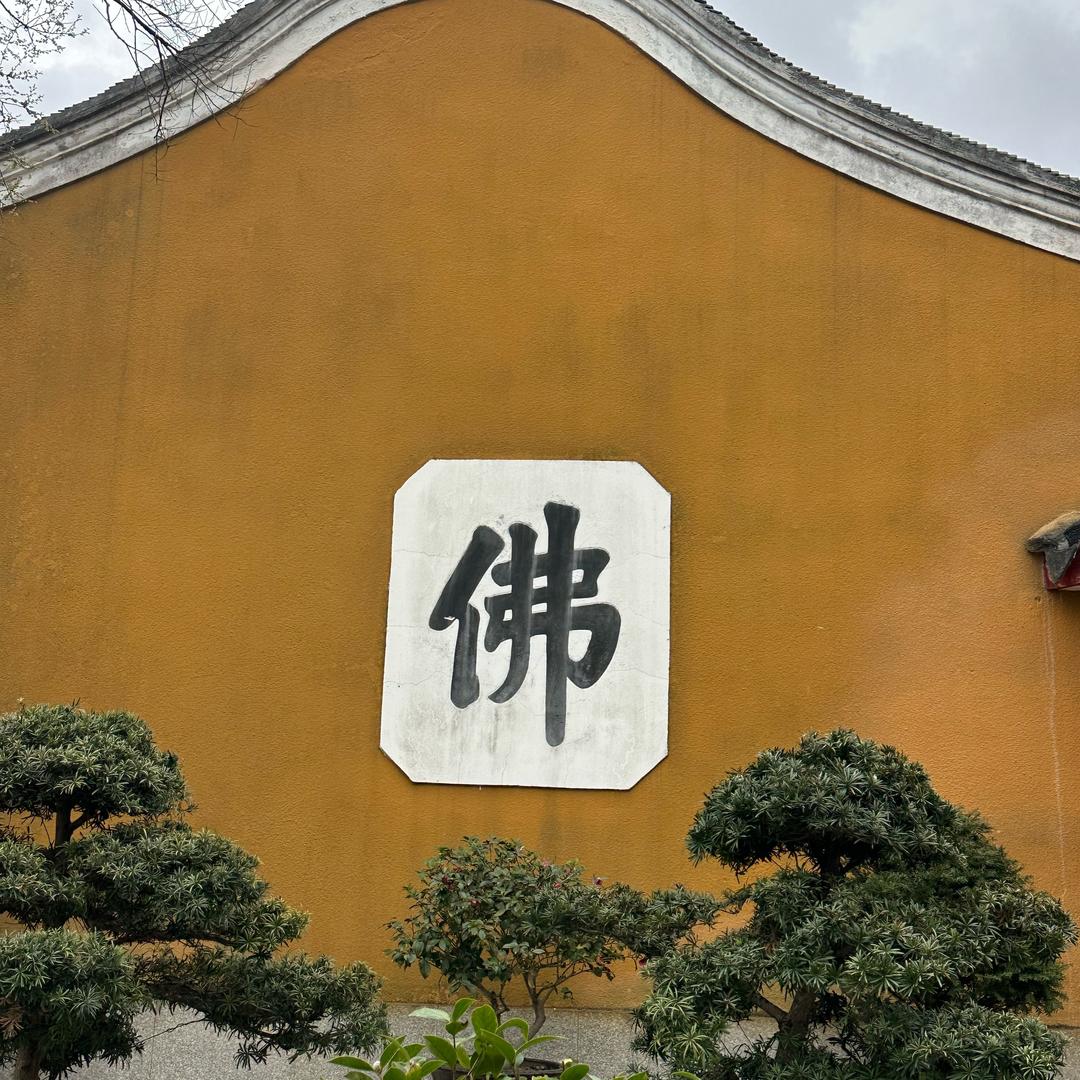 七奇师兄