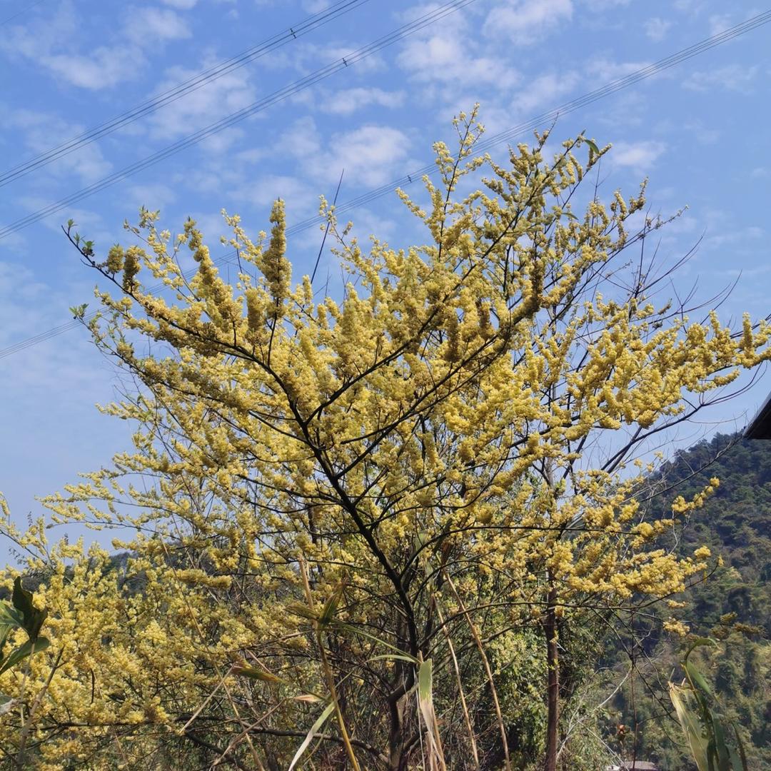 🌈彩虹~糖(☆_☆)
