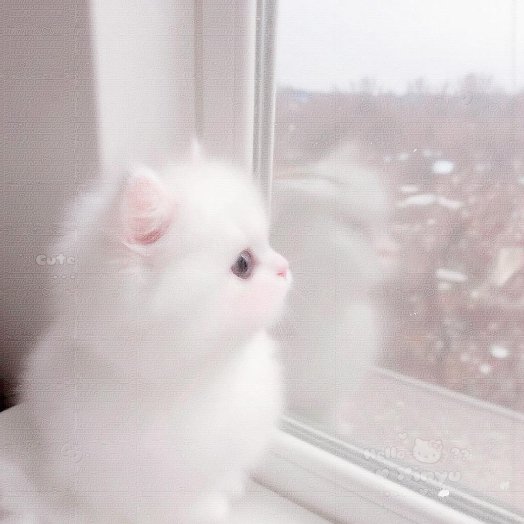 掉眼泪