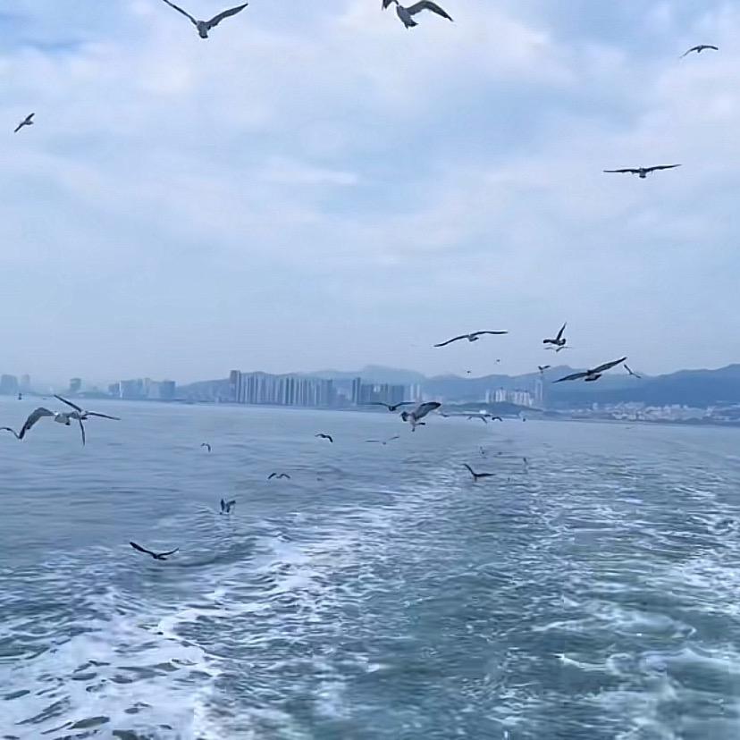 扶摇⛅️