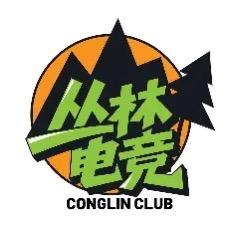 丛林电竞NJ大王