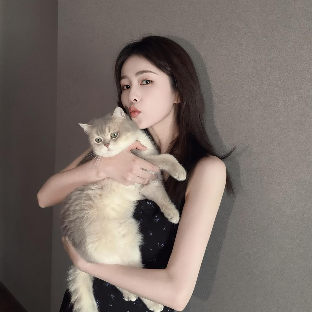 无敌企鹅y🐧
