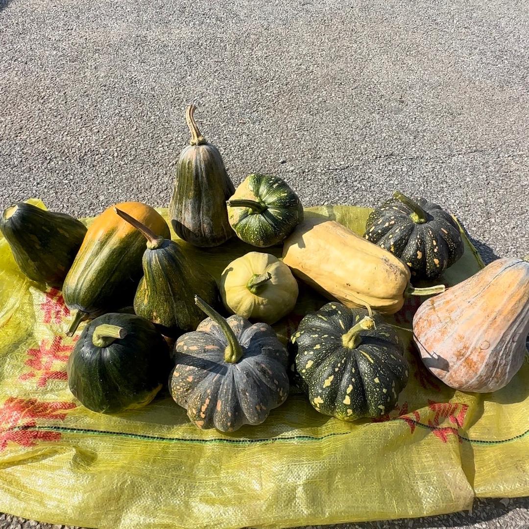 先吃饭再说