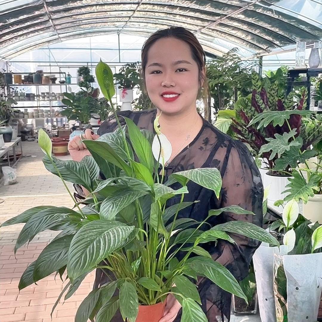 轻氧绿植基地