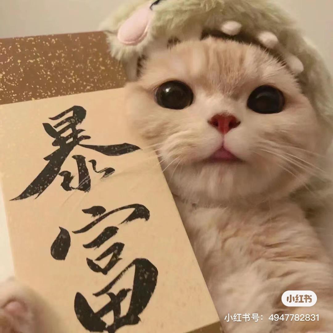 柒柒爱吃低卡轻食