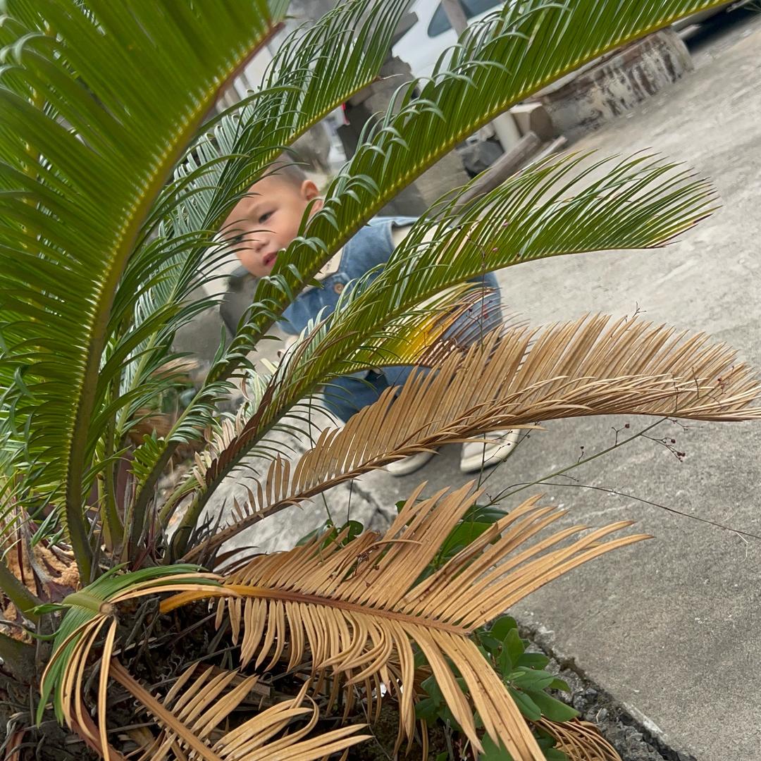 吞金兽的妈 ⁵²³