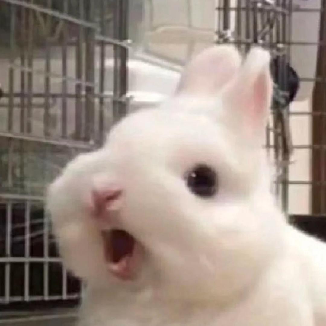 仙女兔手工穿戴甲🐰