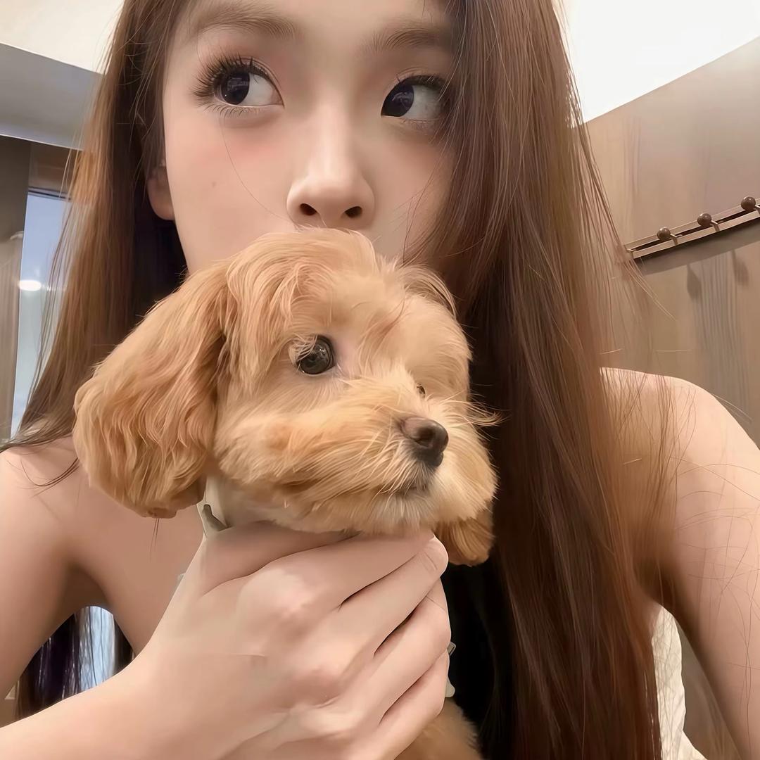 你也叫我coco