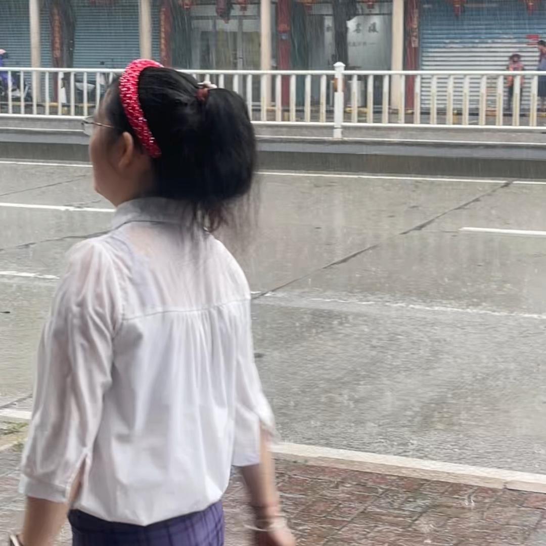 白鸥
