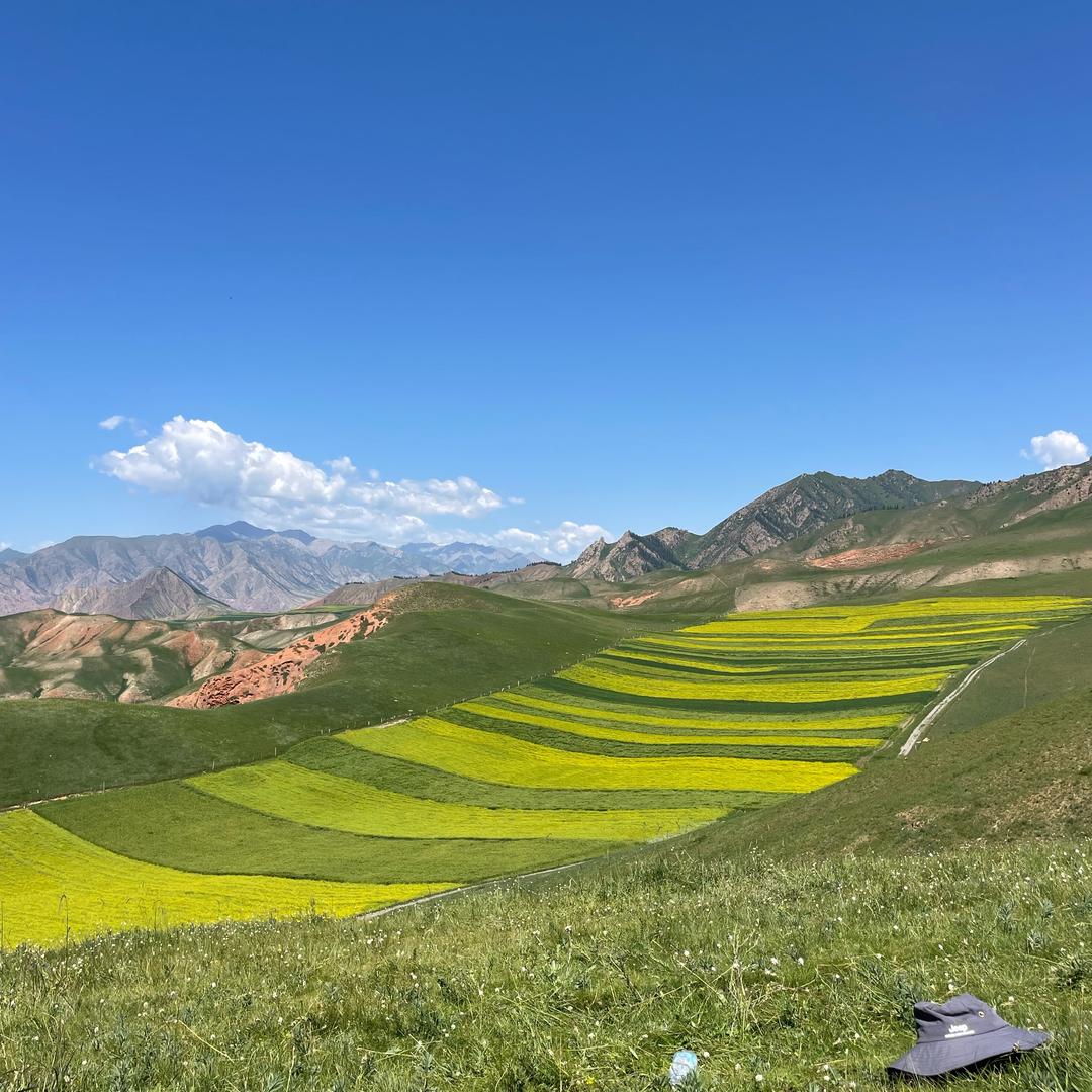 秦岭寿康堂山礼山外