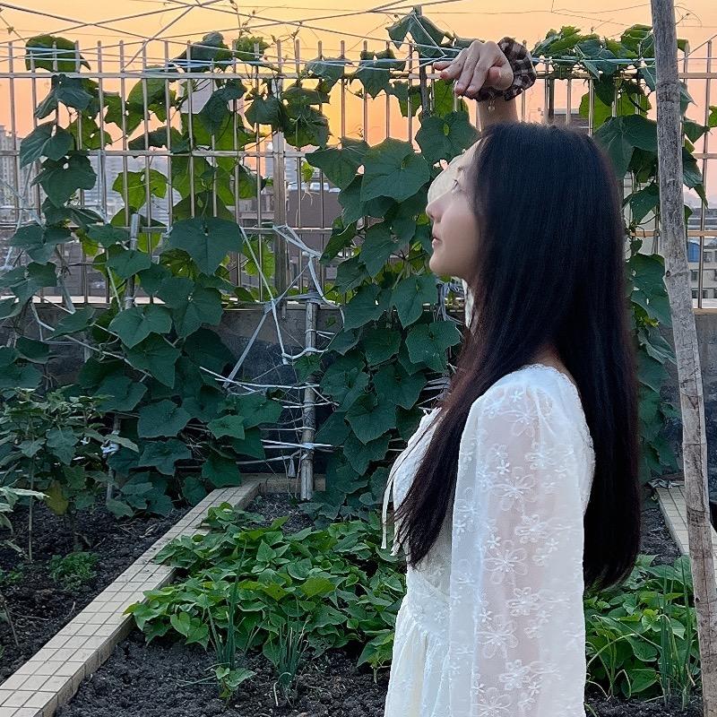一粒番茄仔🍅
