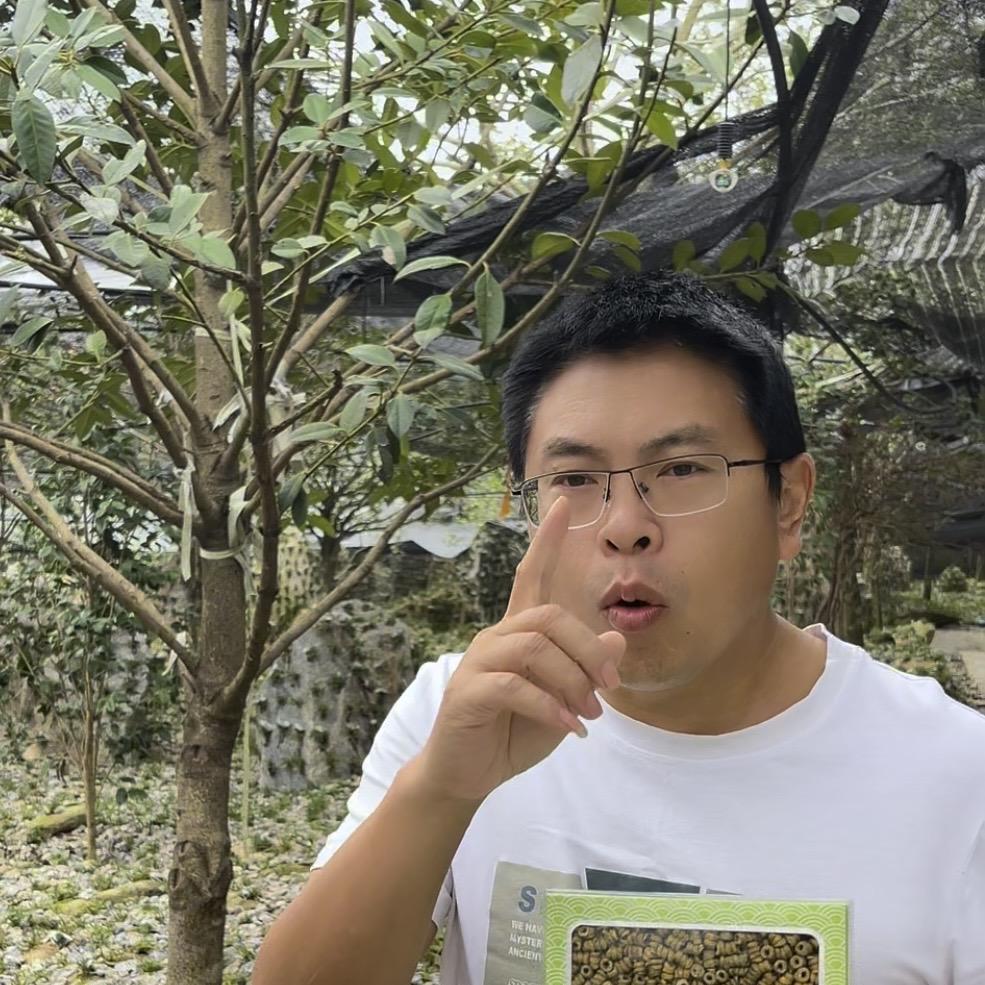 康哥霍山石斛种植基地