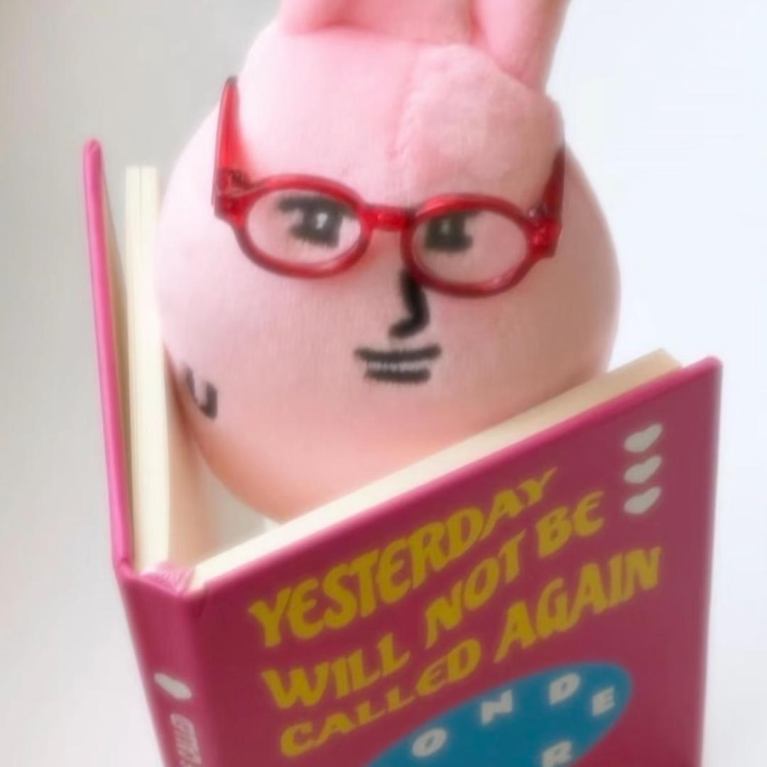 Aaa.龙头企业上海火龙果批发孟姐💋