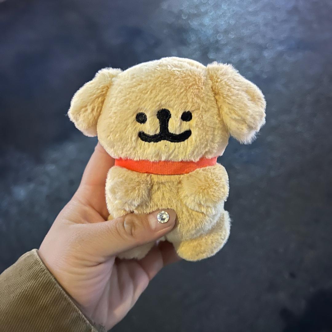 南城逆光小大姐。