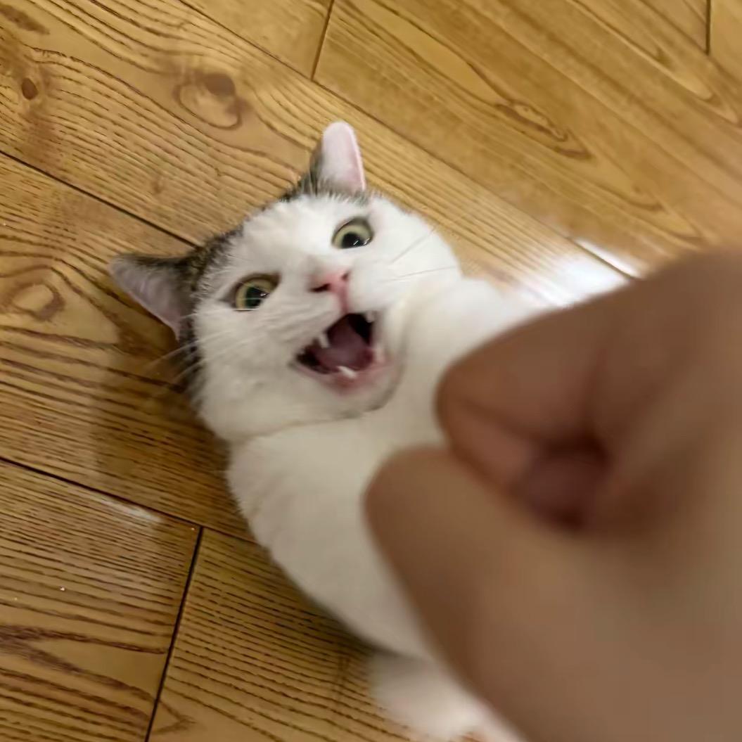 一一
