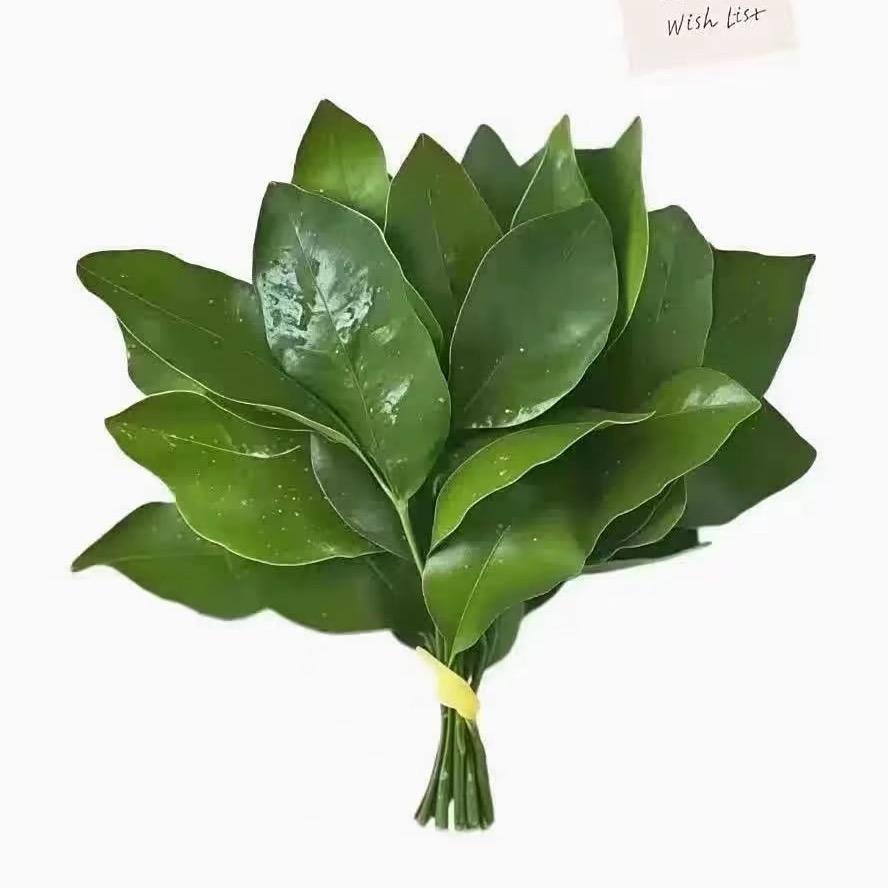 杨枝甘露.
