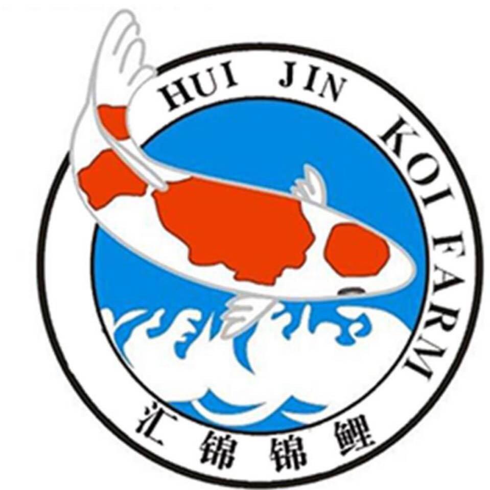 汇锦锦鲤