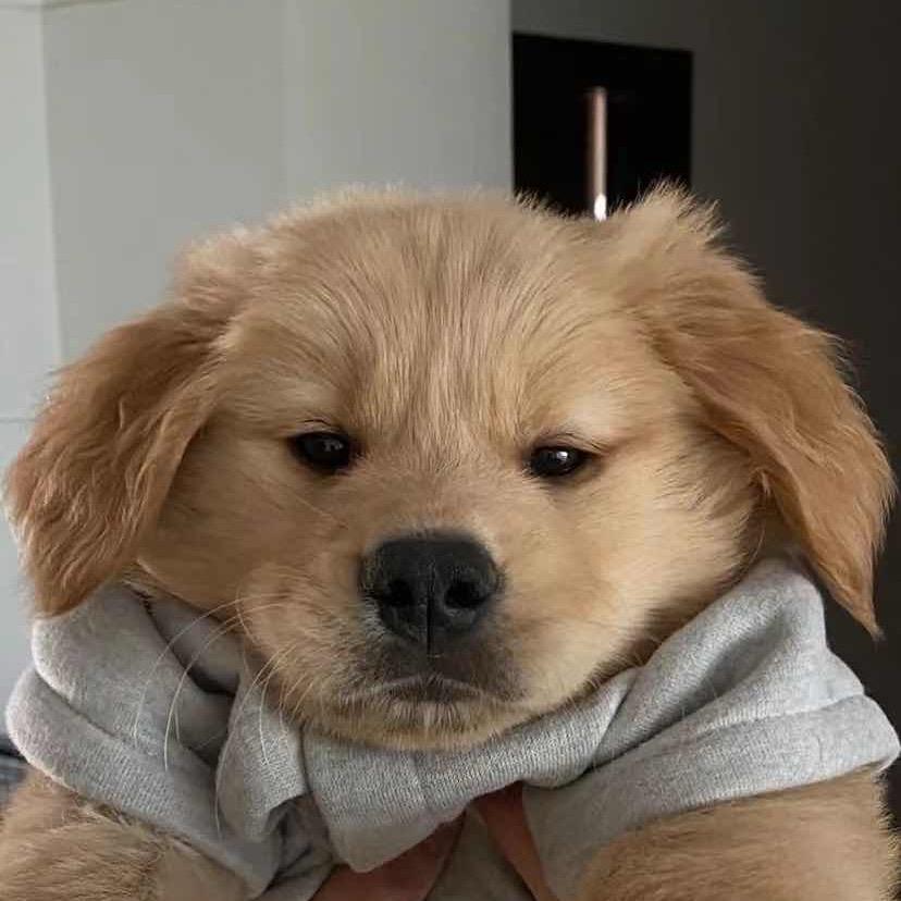 方格