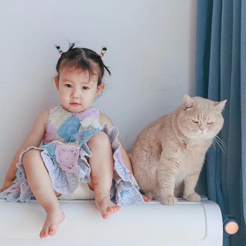 猫猫大脸