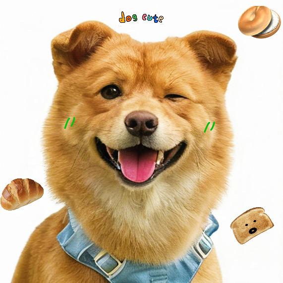挠头狗丸子