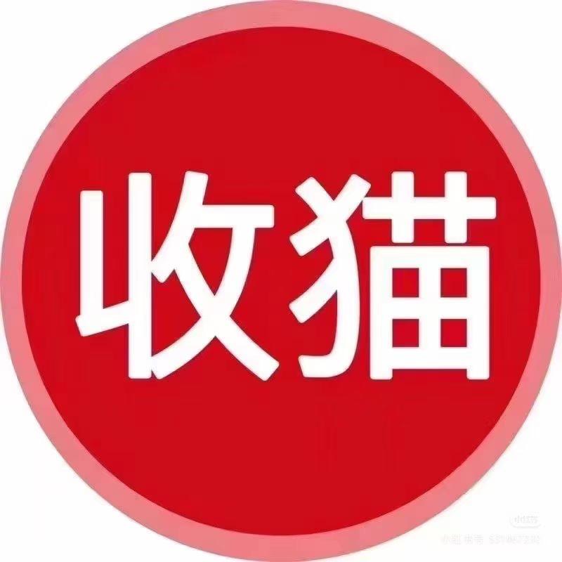 沈阳收猫