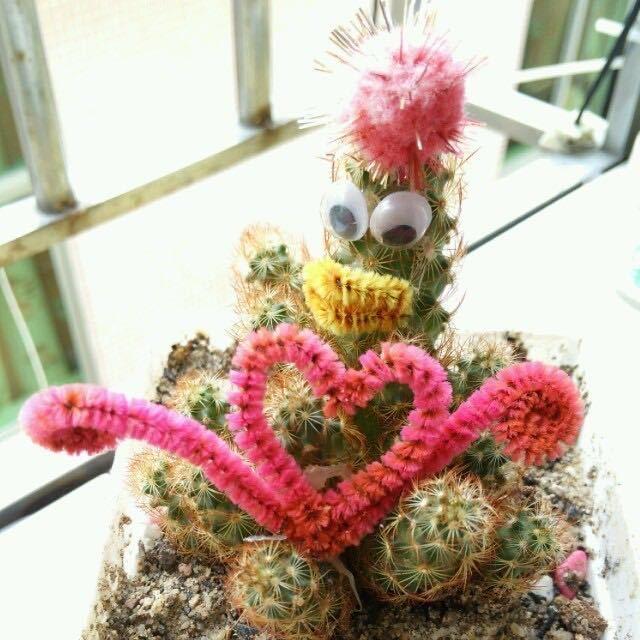 『不想꧁蒋꧂道理』