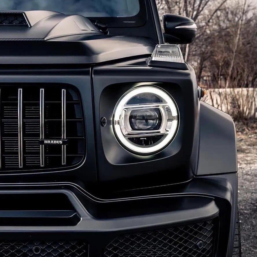 我本就向自由33