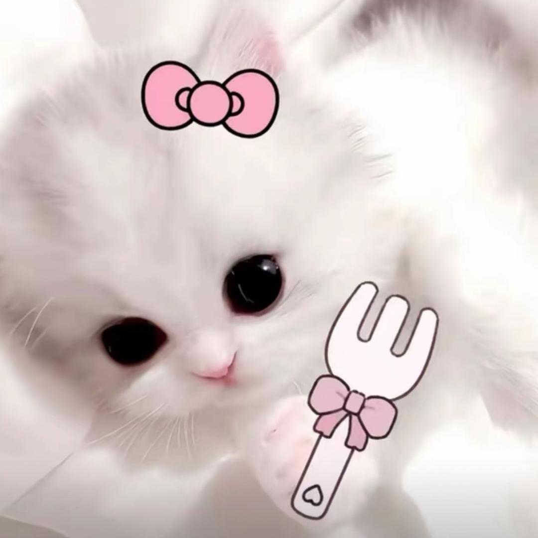 我老公必须像疯了一样迷恋我