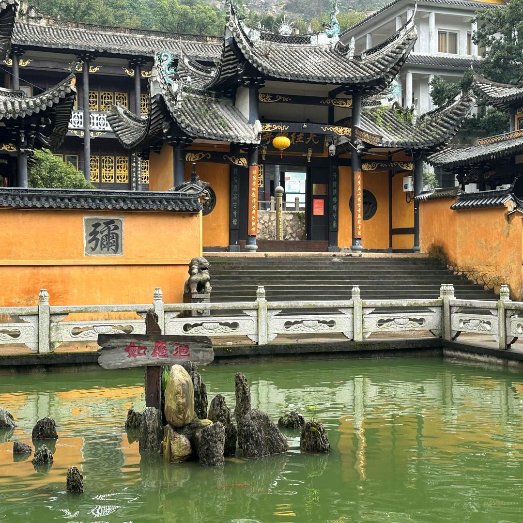 悟道版卡拉米收徒中