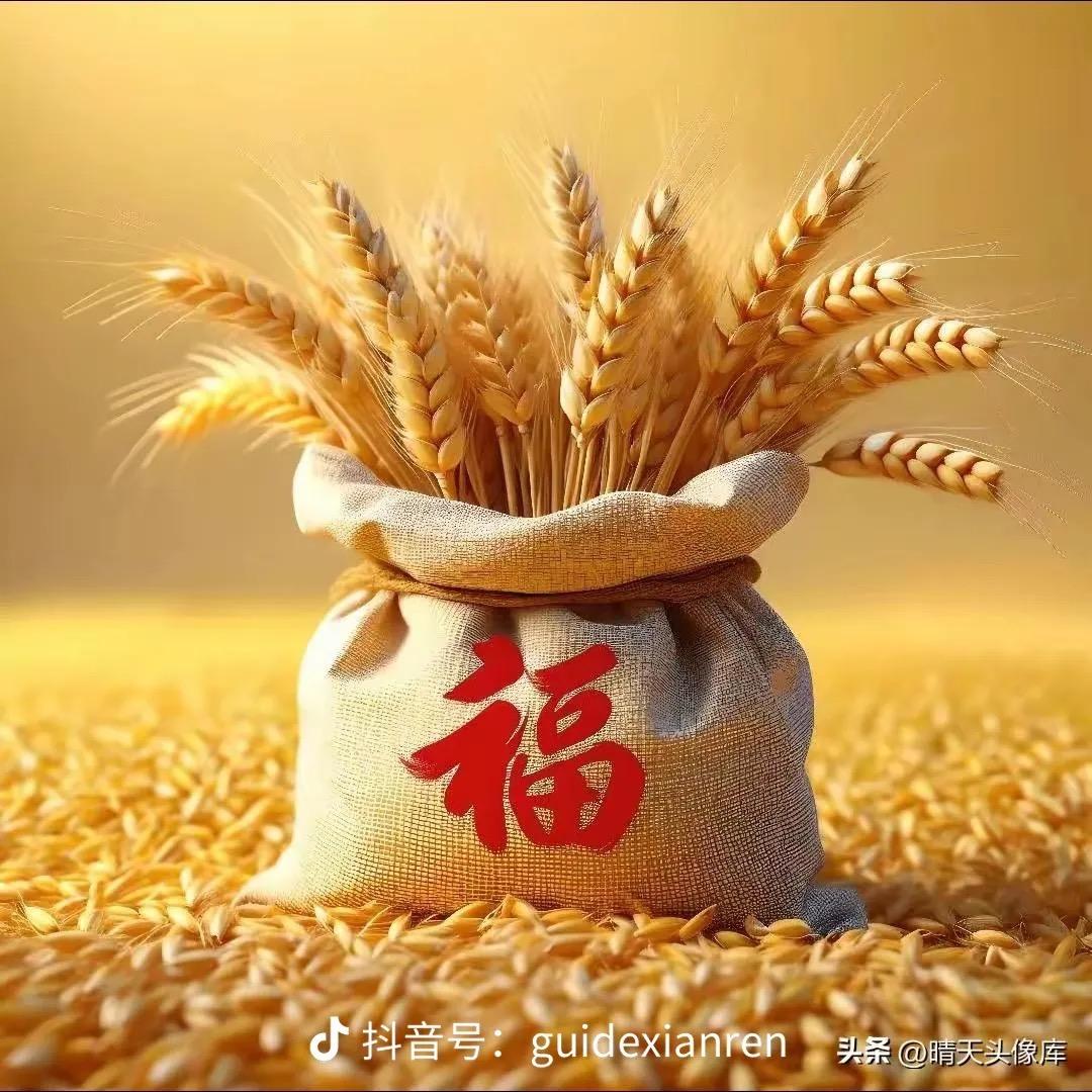 新农种推荐师