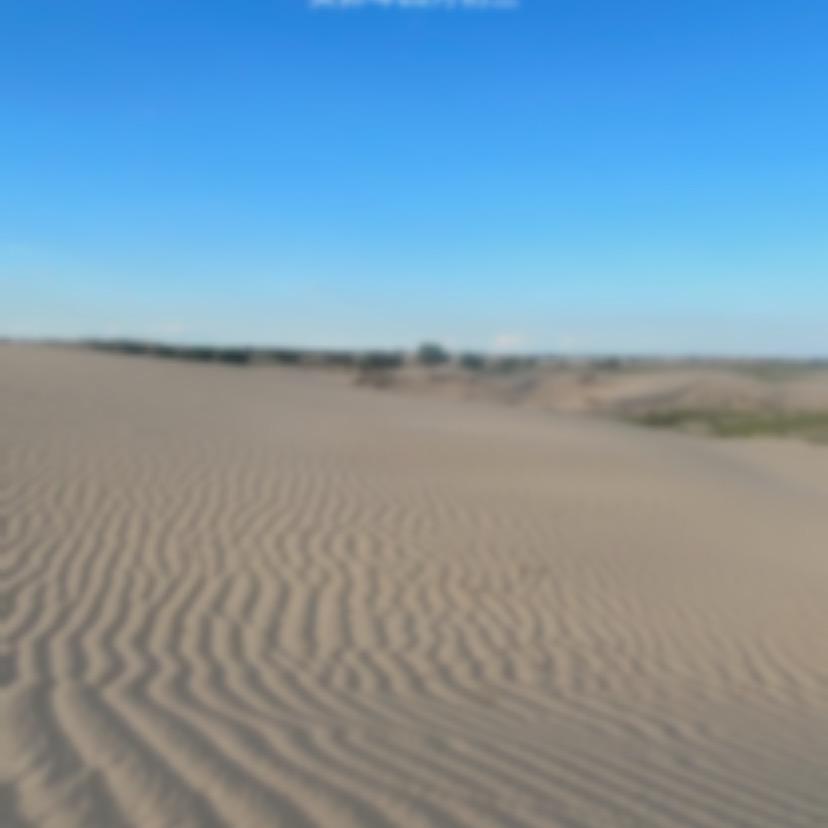 雷击木源头加工