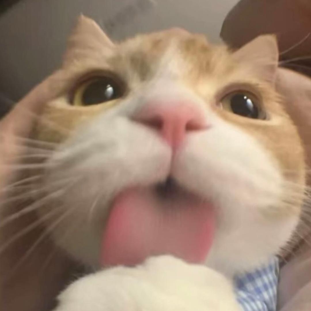 帅炸宇宙的反派鱼头