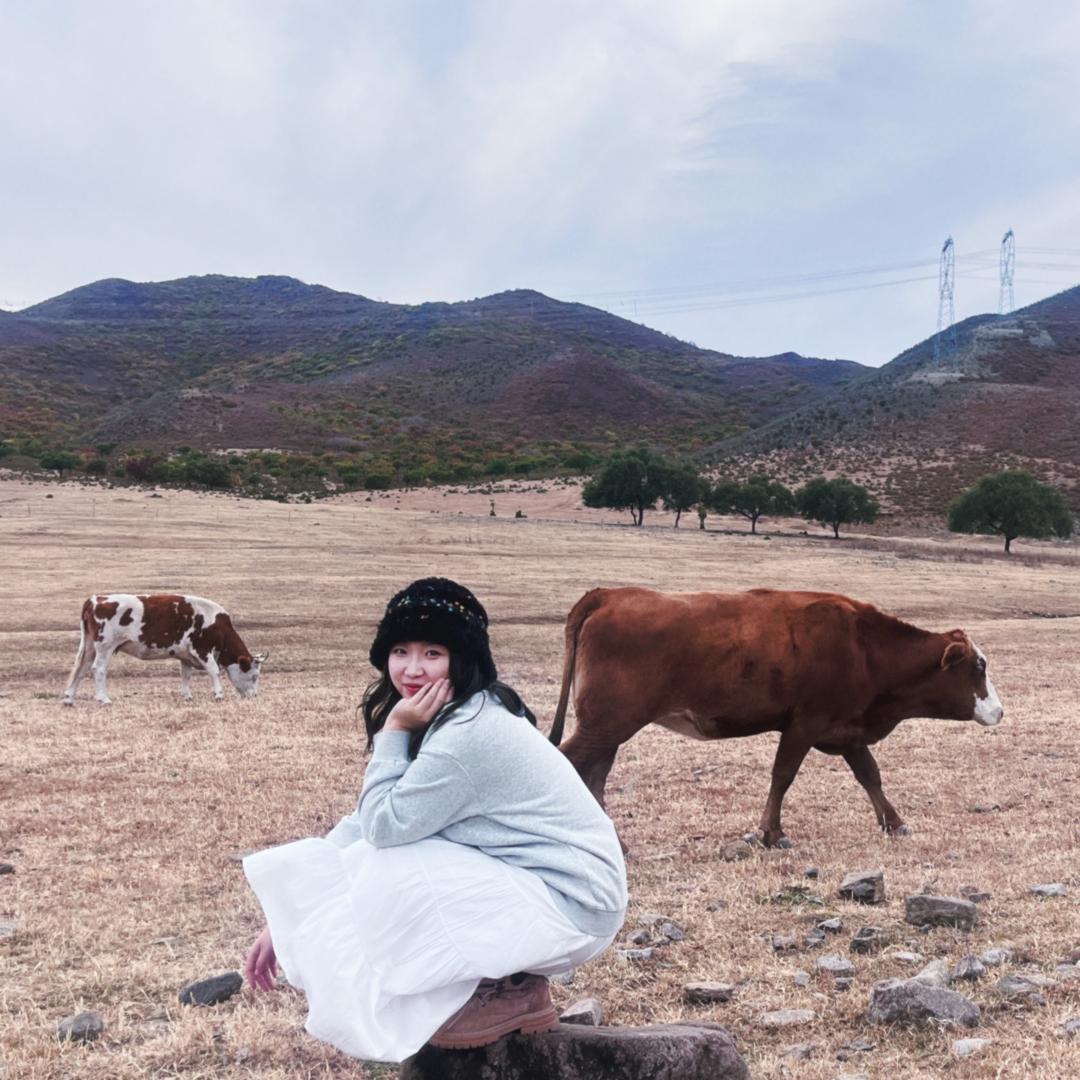 斯莱特林的纸鹤