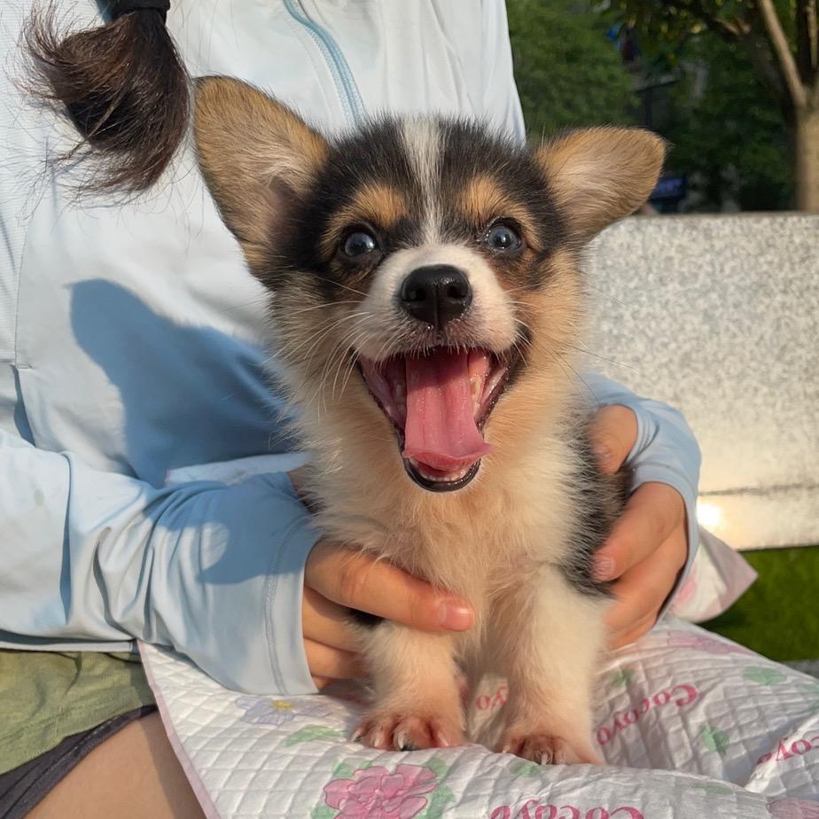 兔娇的好物分享