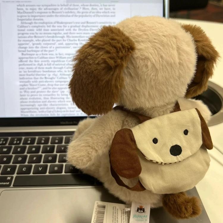 义乌地区小红娘